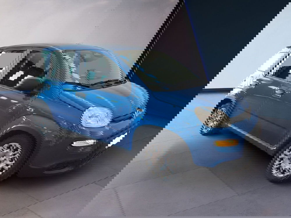 Fiat Panda Cross usata a Torino (3)