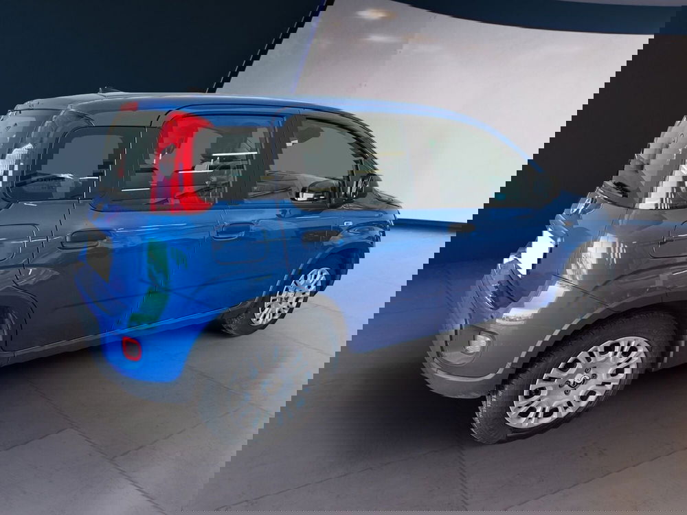 Fiat Panda Cross usata a Torino (4)