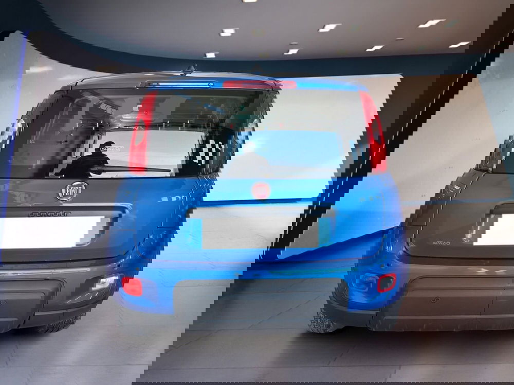 Fiat Panda Cross usata a Torino (5)