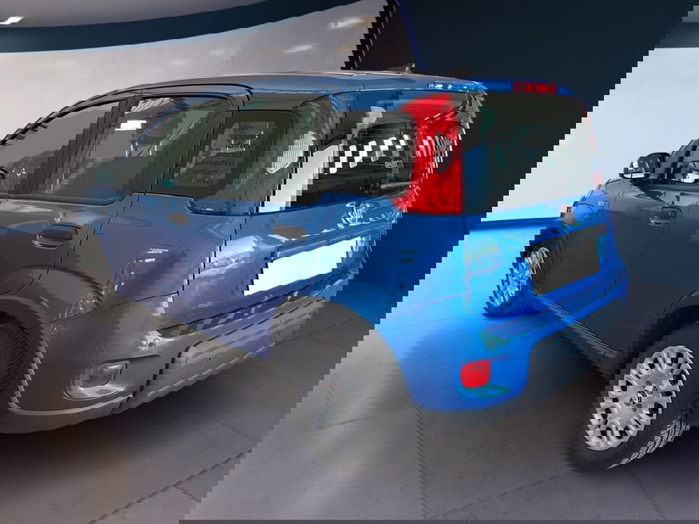 Fiat Panda Cross usata a Torino (6)