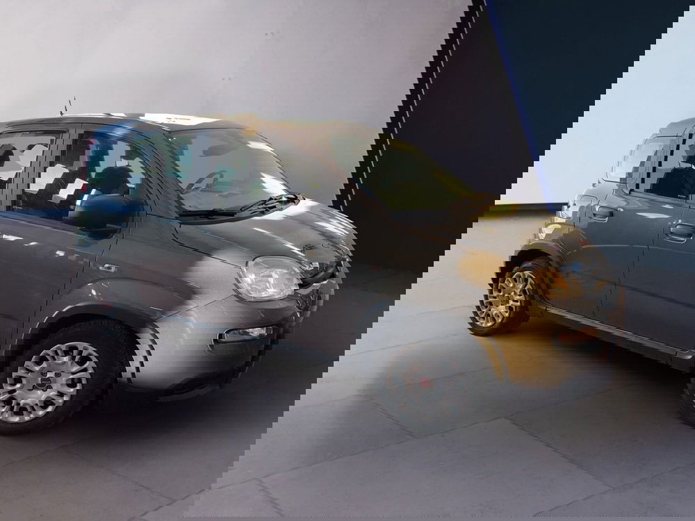 Fiat Panda usata a Torino (3)