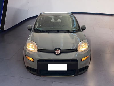 Fiat Panda 1.0 firefly hybrid s&amp;s 70cv 5p.ti del 2022 usata a Torino