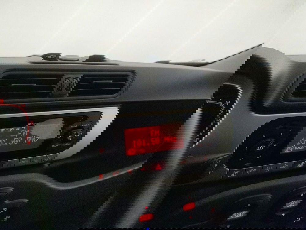 Fiat Panda Cross usata a Alessandria (11)