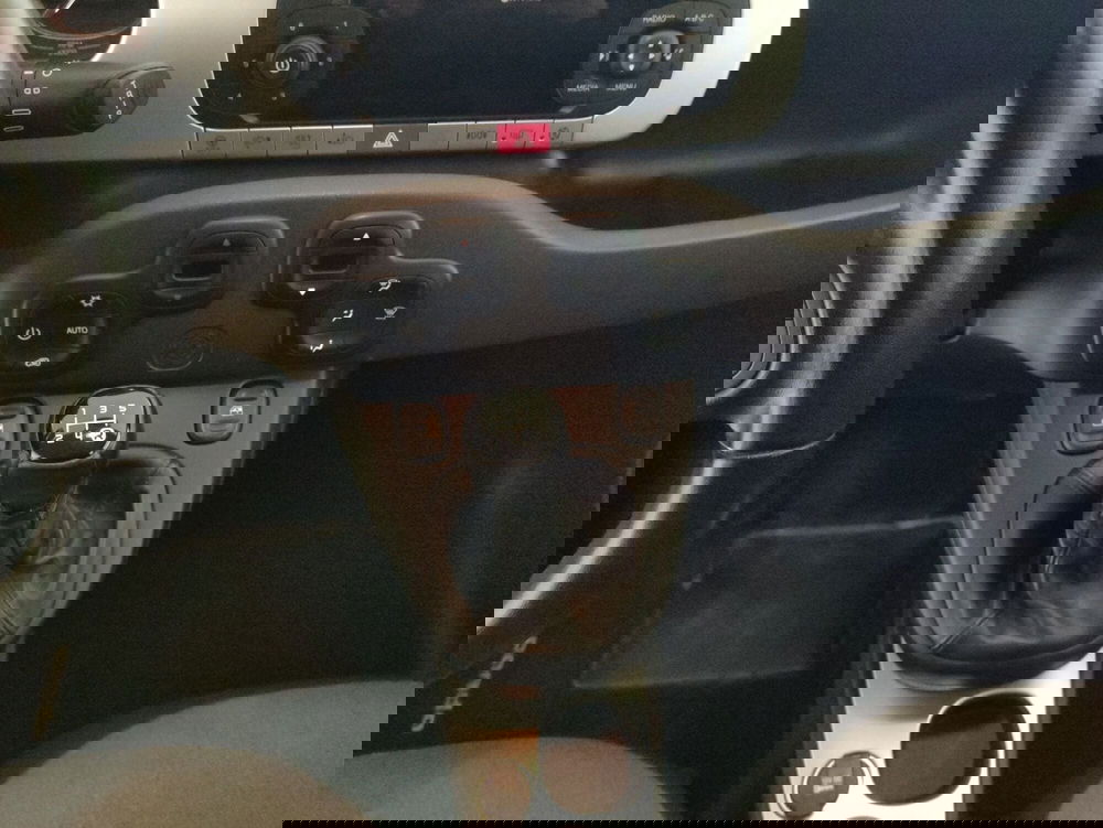 Fiat Panda Cross usata a Alessandria (9)