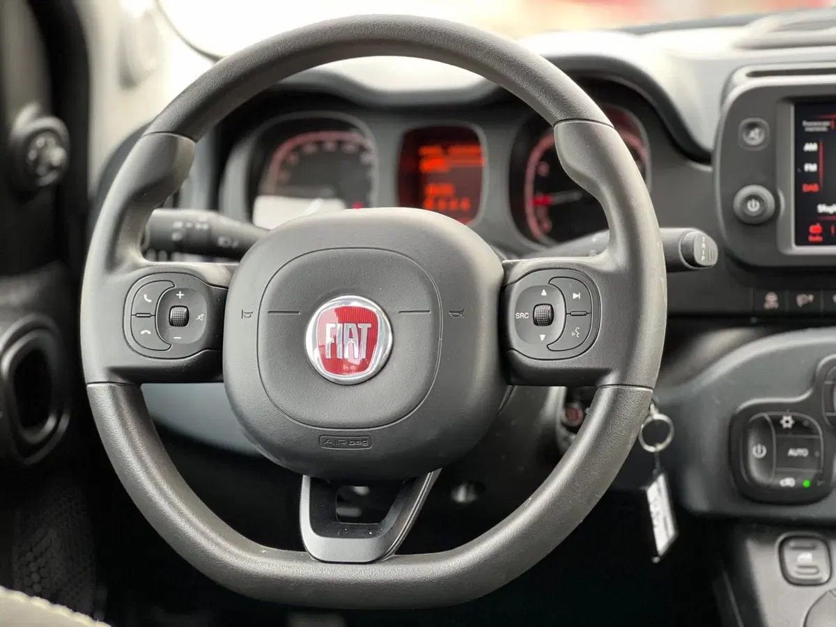 Fiat Panda Cross usata a Matera (18)
