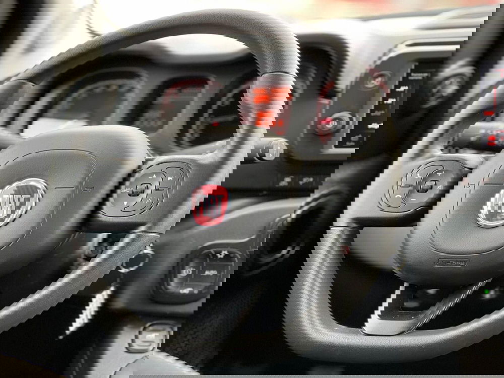 Fiat Panda Cross usata a Matera (18)