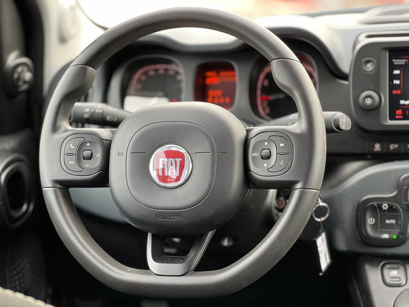 Fiat Panda Cross usata a Matera (18)