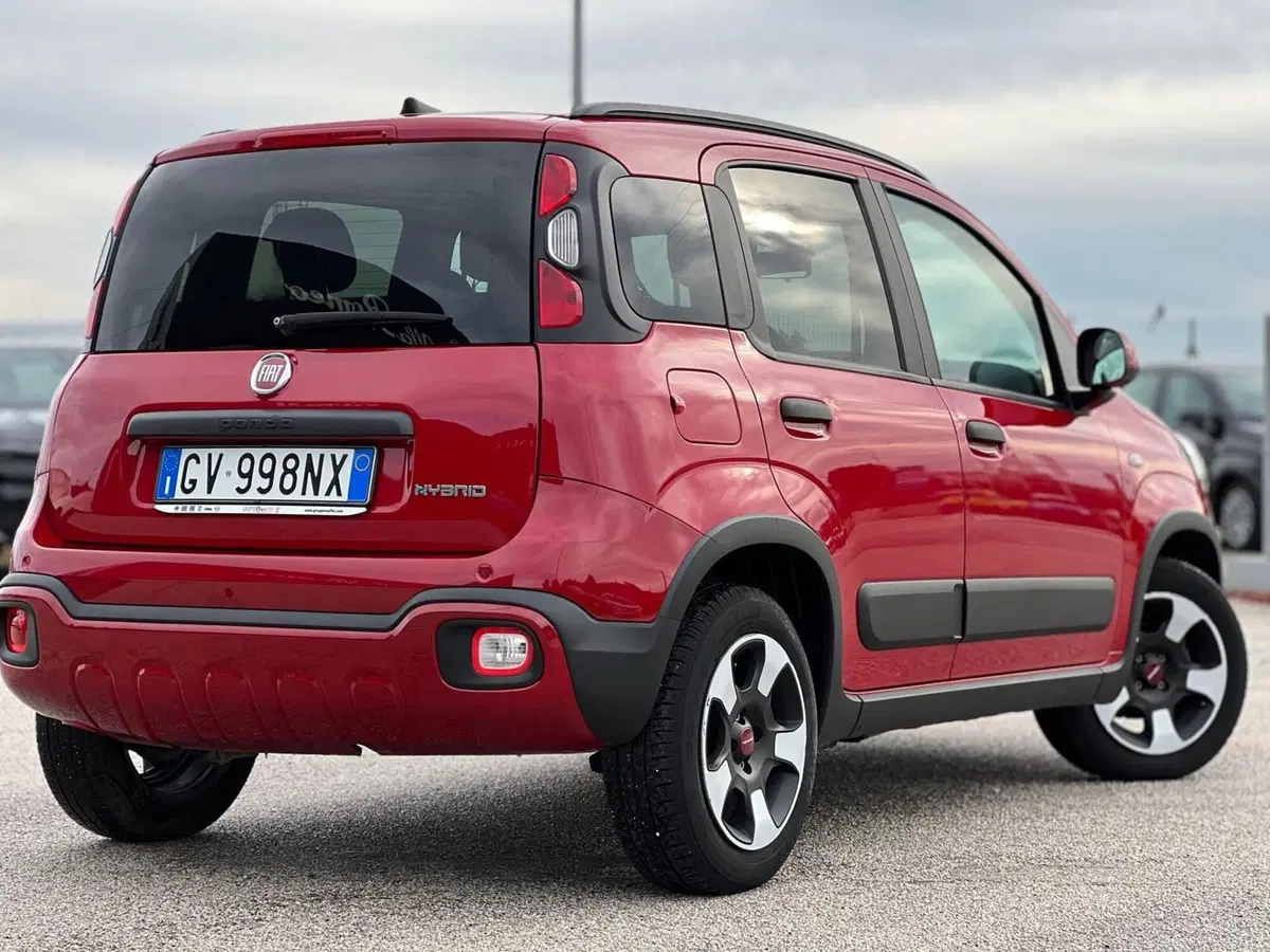 Fiat Panda Cross usata a Matera (5)