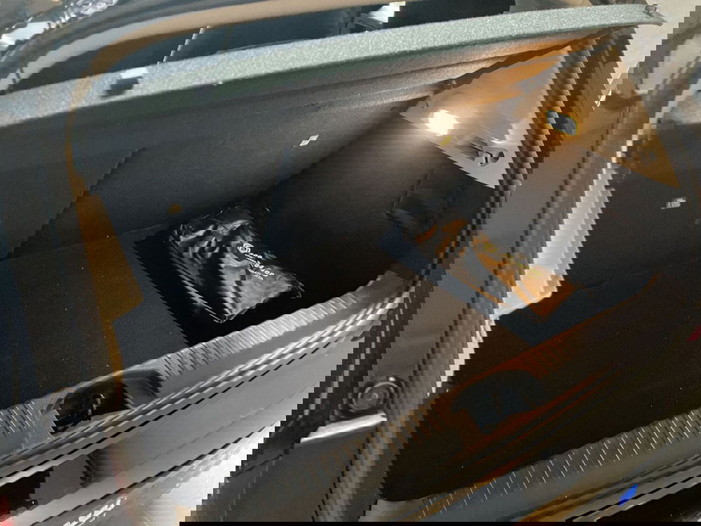 Renault Clio usata a Monza e Brianza (6)