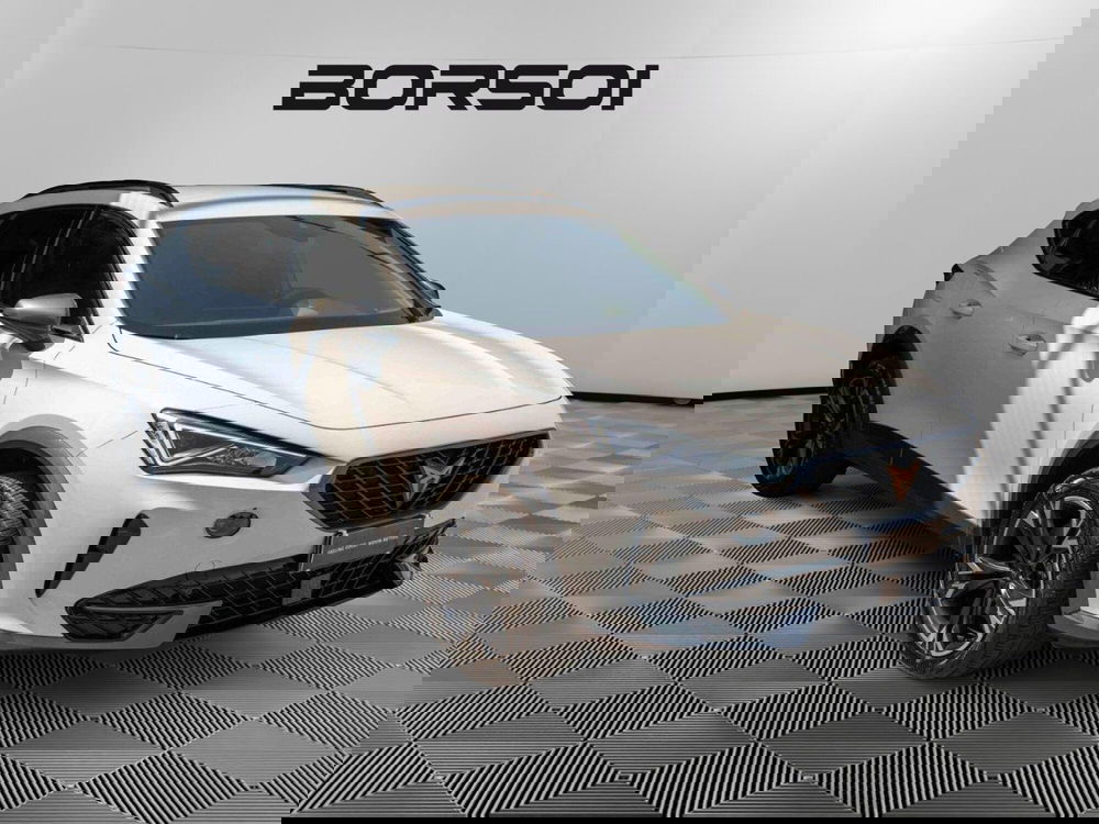 Cupra Formentor usata a Treviso (7)