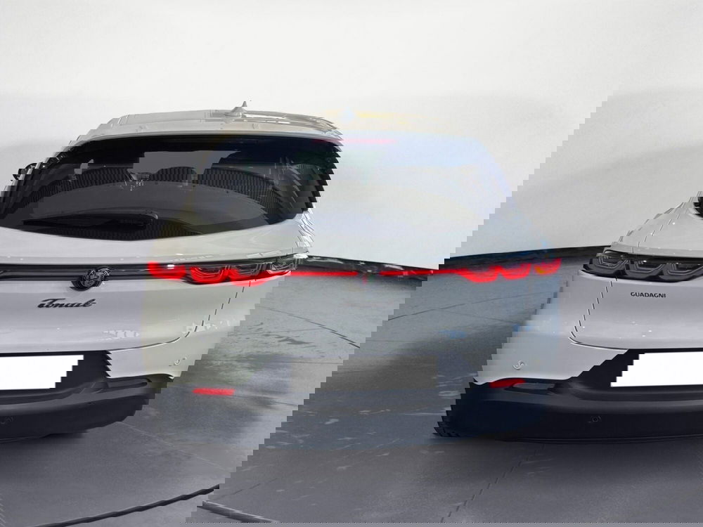 Alfa Romeo Tonale usata a Agrigento (6)