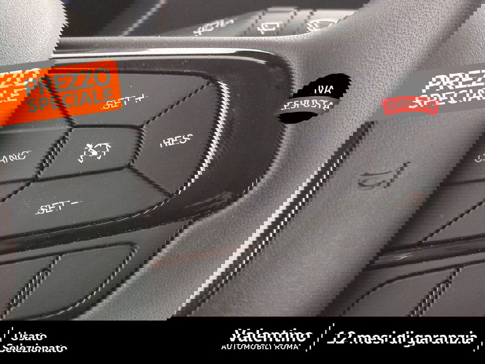 Fiat Panda Cross usata a Roma (15)