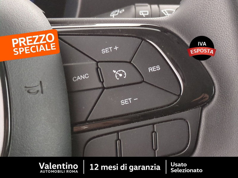 Fiat Panda Cross usata a Roma (15)