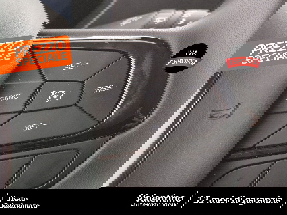 Fiat Panda Cross usata a Roma (16)