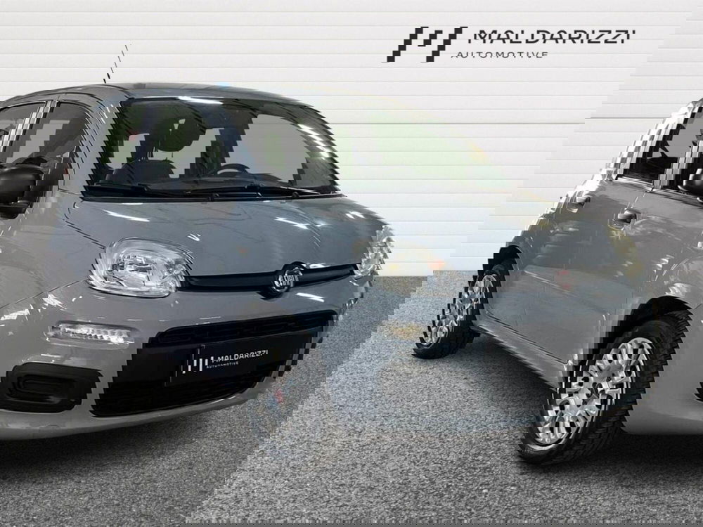 Fiat Panda usata a Lecce