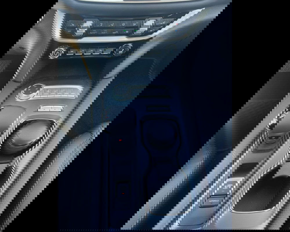 Foton Tunland usata a Siena (16)