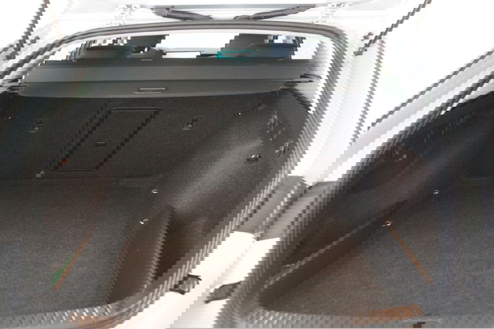 Skoda Octavia Station Wagon usata a Torino (7)