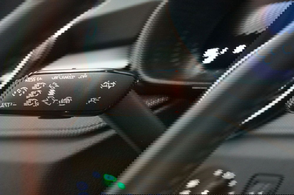 Skoda Fabia usata a Torino (14)