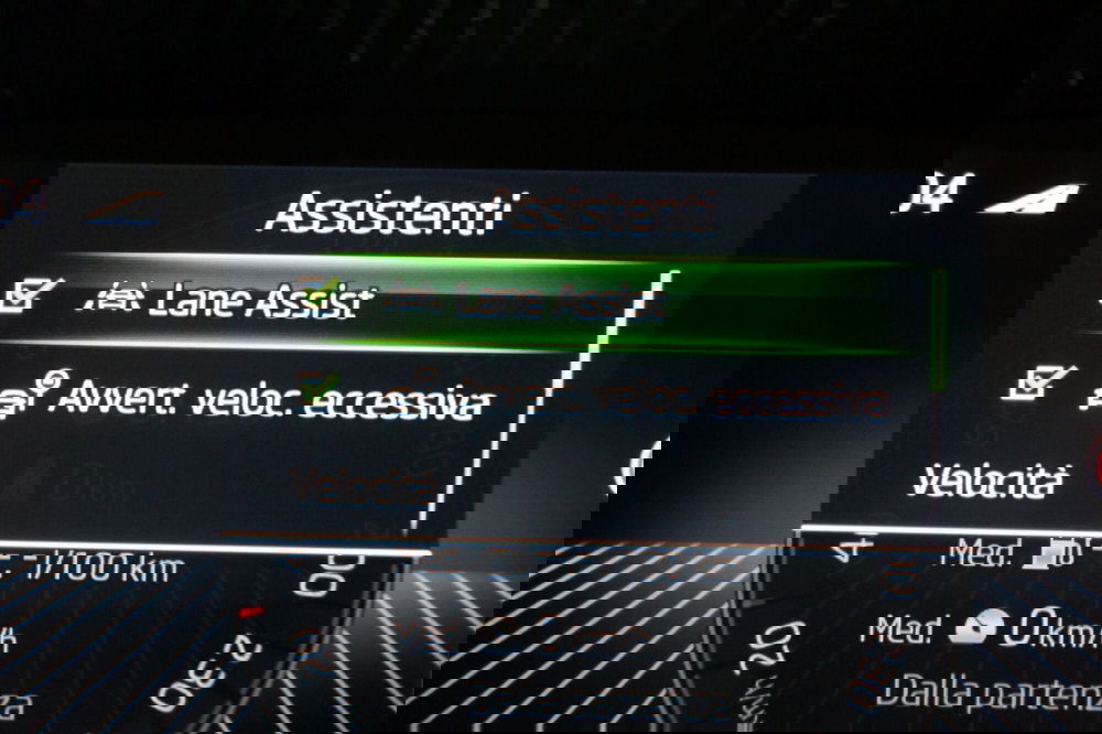Skoda Fabia usata a Torino (17)