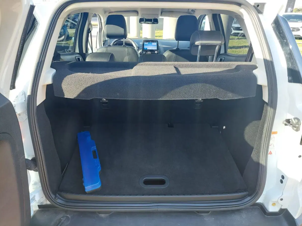 Ford EcoSport usata a Treviso (15)