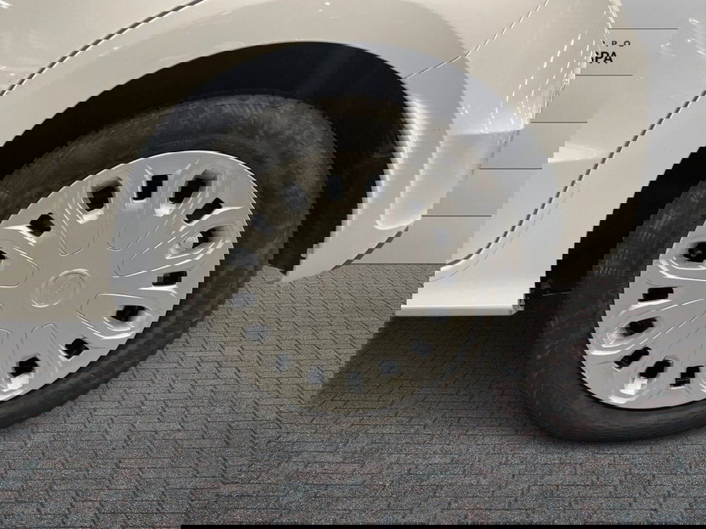 Ford Ka usata a Firenze (6)