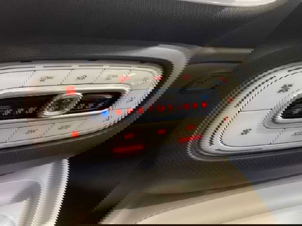 smart forfour usata a Pistoia (15)