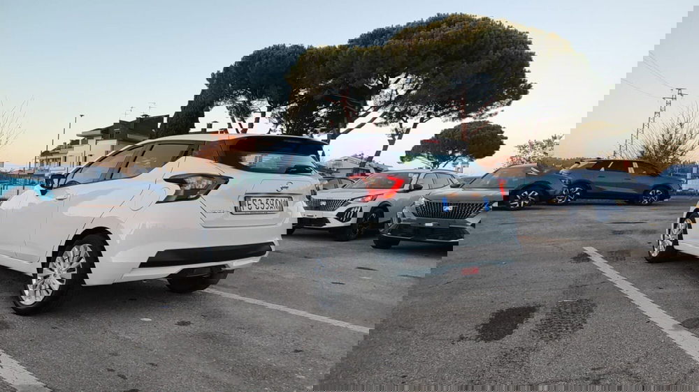 Nissan Micra usata a Firenze (6)