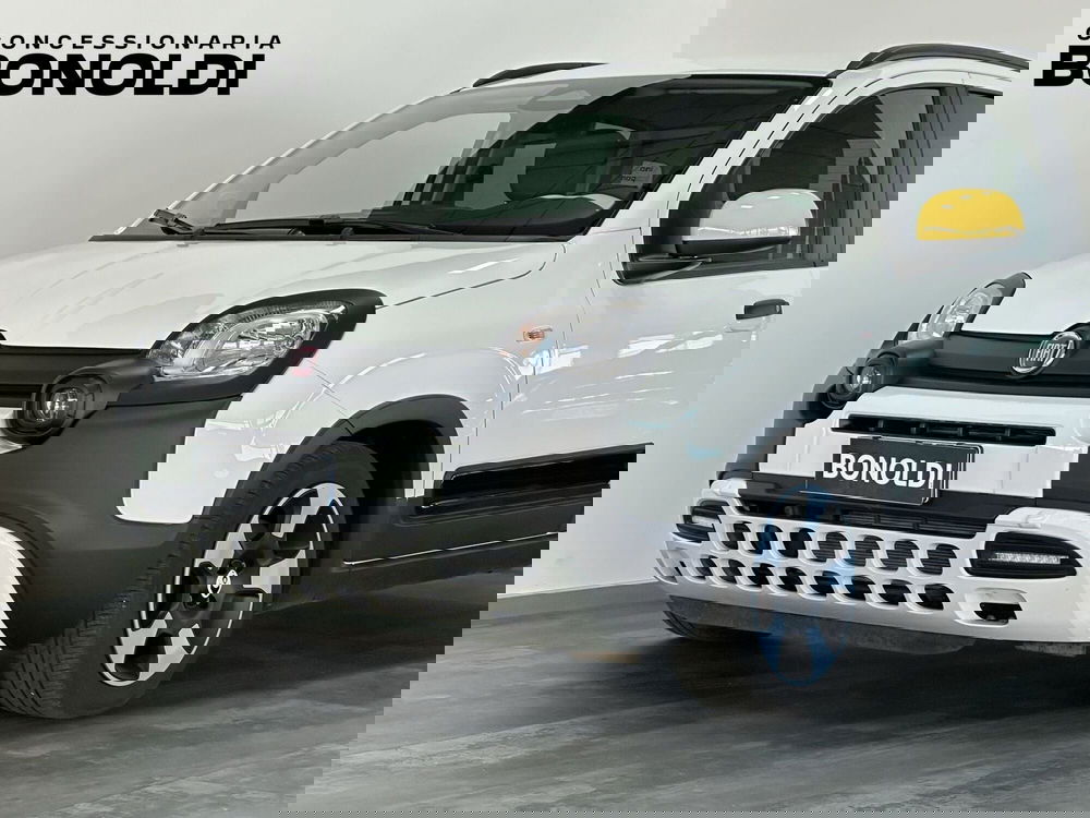 Fiat Pandina usata a Brescia (2)