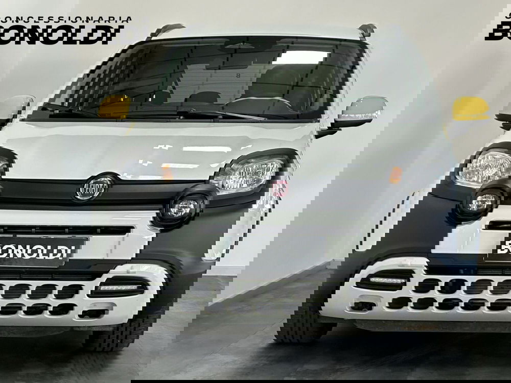 Fiat Pandina usata a Brescia (3)