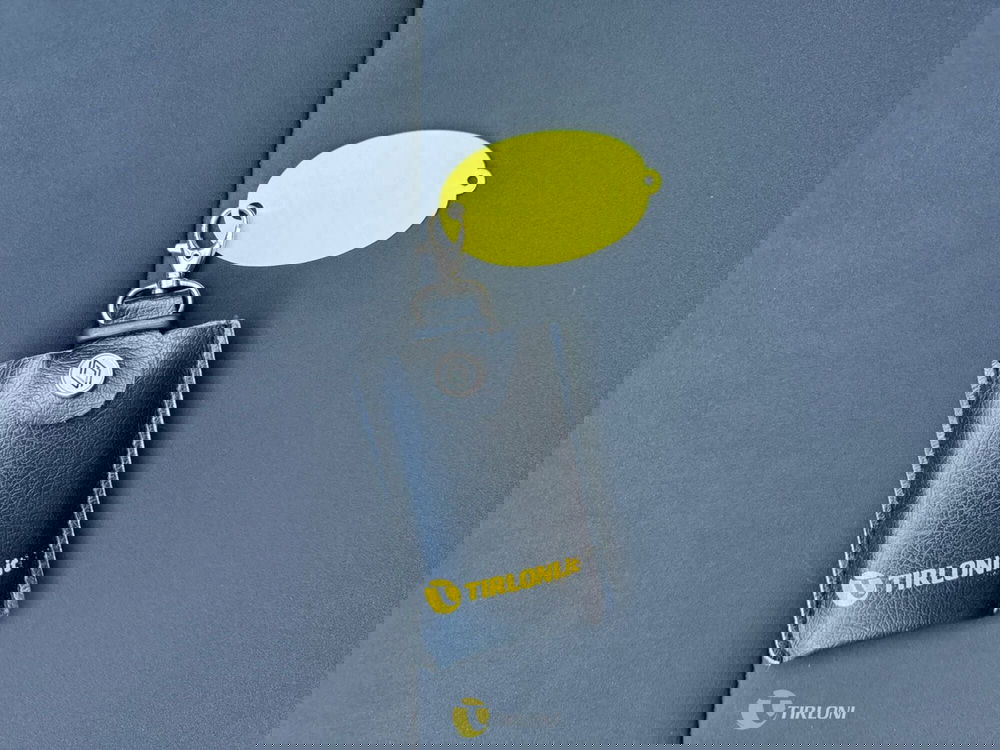 Dacia Bigster usata a Milano (16)