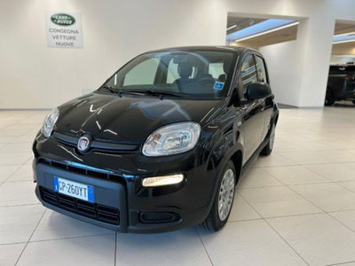 Fiat Panda 1.0 firefly hybrid s&amp;s 70cv 5p.ti del 2023 usata a Modena