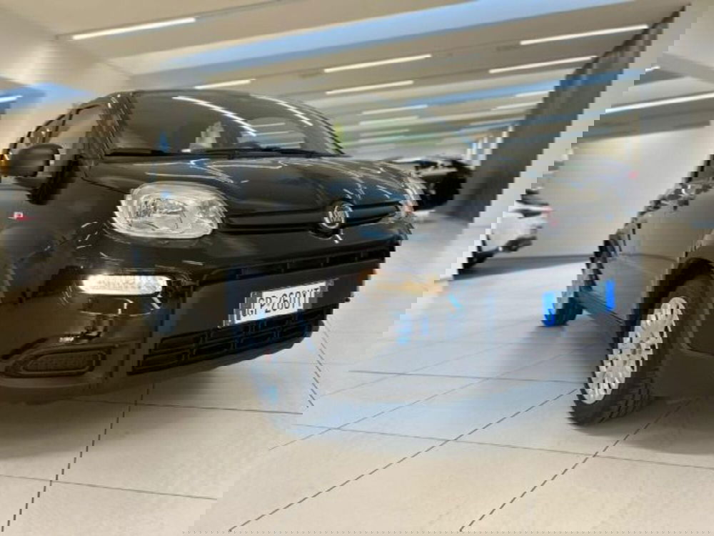 Fiat Panda usata a Modena (10)