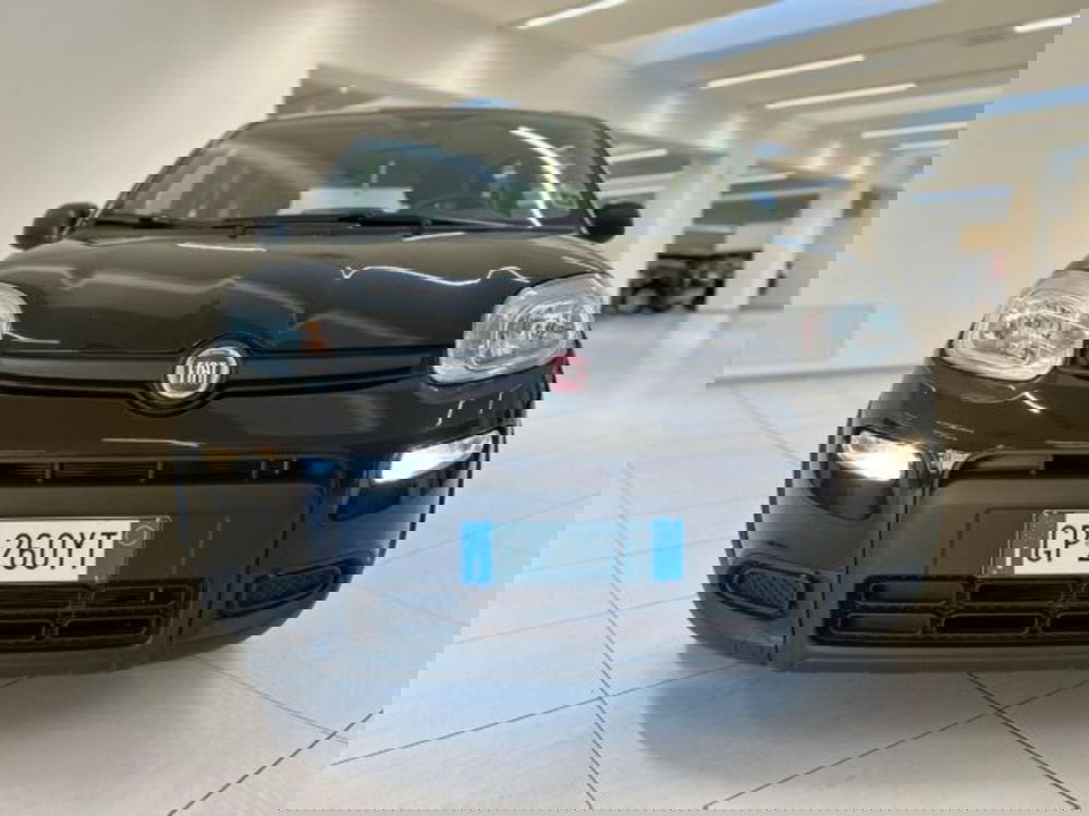 Fiat Panda usata a Modena (13)