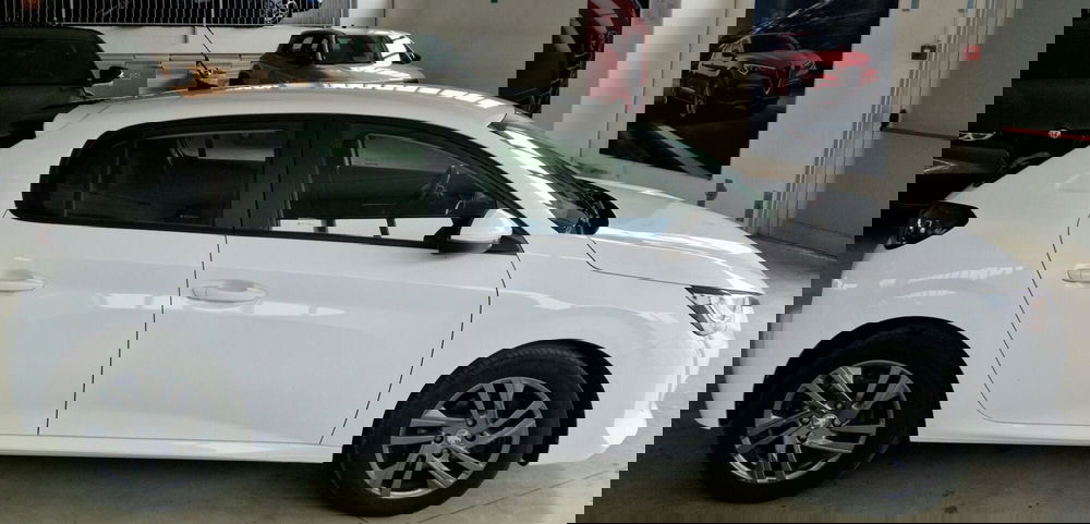 Peugeot 208 usata a Terni (6)