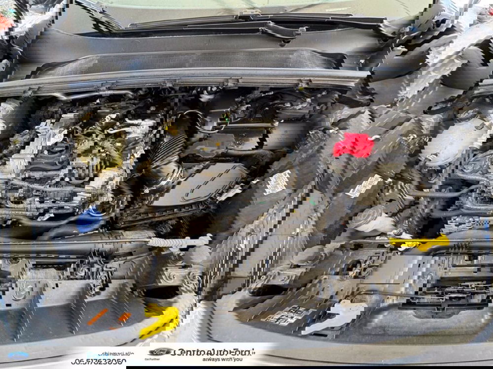 Ford Puma usata a Roma (12)