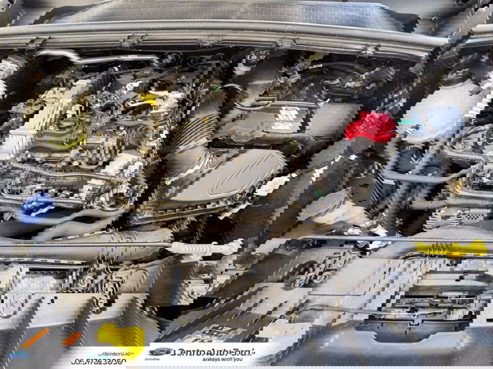 Ford Puma usata a Roma (12)