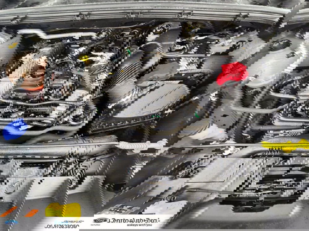 Ford Puma usata a Roma (13)