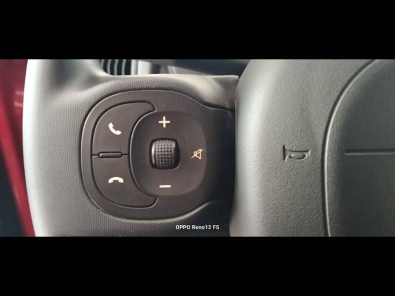 Fiat Panda Cross usata a Caltanissetta (12)