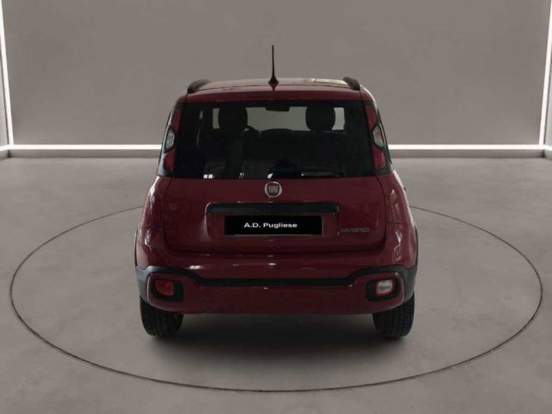 Fiat Panda Cross usata a Caltanissetta (4)