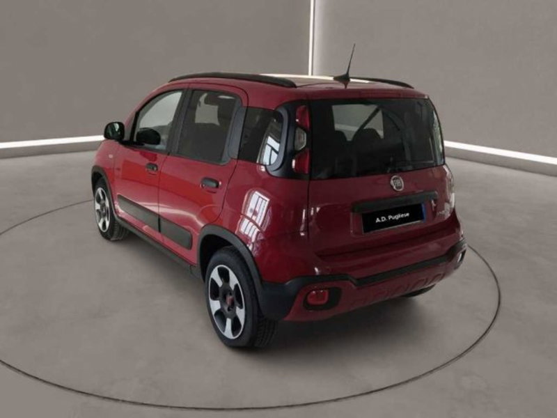 Fiat Panda Cross usata a Caltanissetta (7)