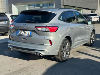 Ford Kuga 1.5 EcoBlue 120 CV aut. 2WD ST-Line X Design del 2022 usata a Massarosa