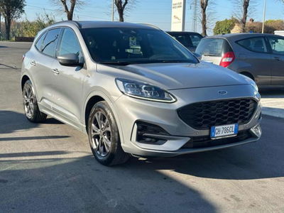 Ford Kuga 1.5 EcoBlue 120 CV aut. 2WD ST-Line X Design del 2022 usata a Massarosa