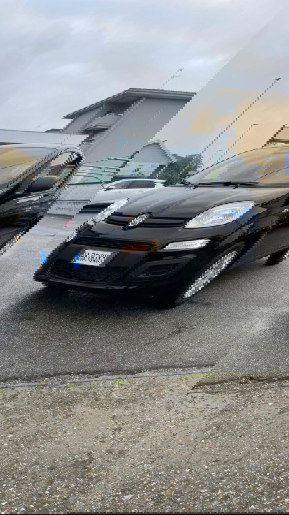 Fiat Panda nuova a Novara (2)