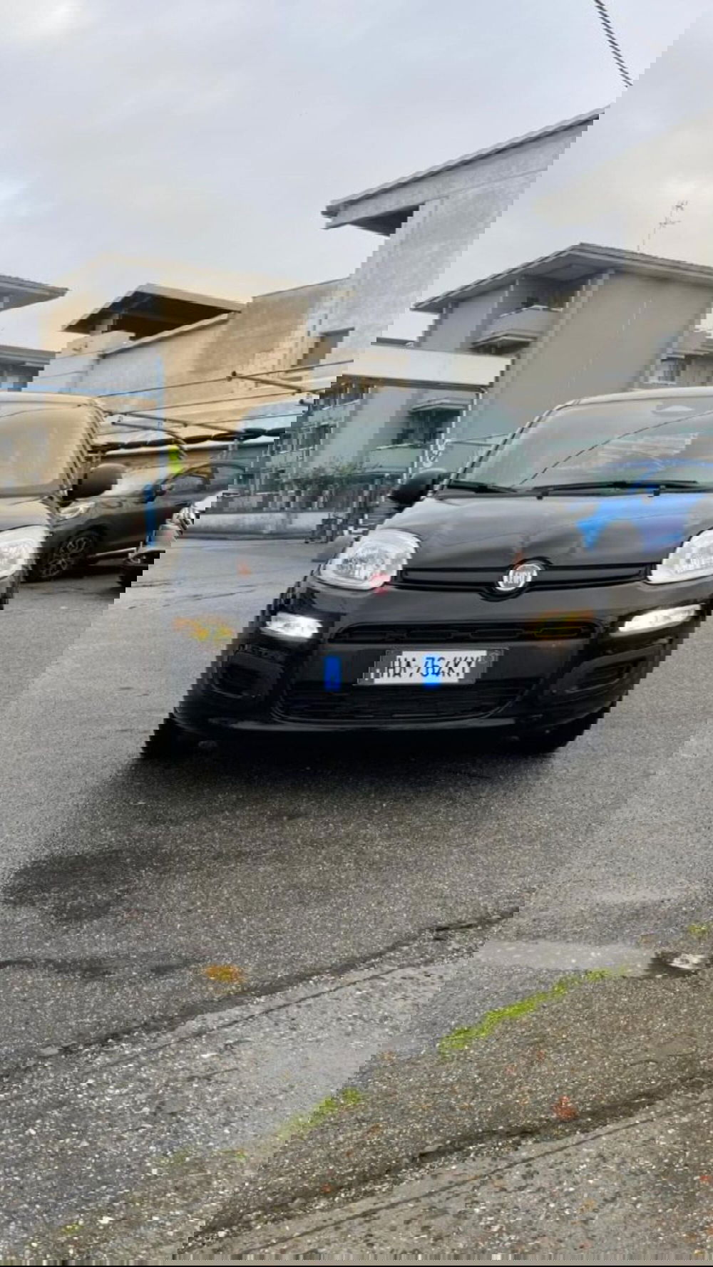 Fiat Panda nuova a Novara (3)