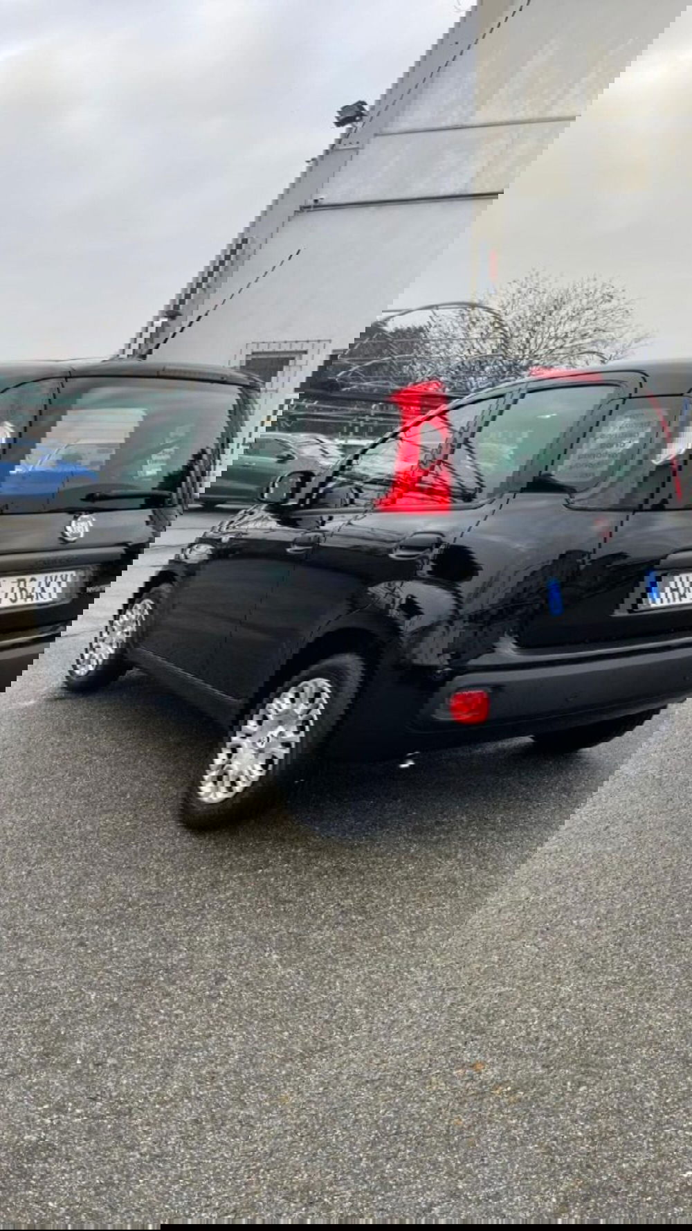 Fiat Panda nuova a Novara (4)