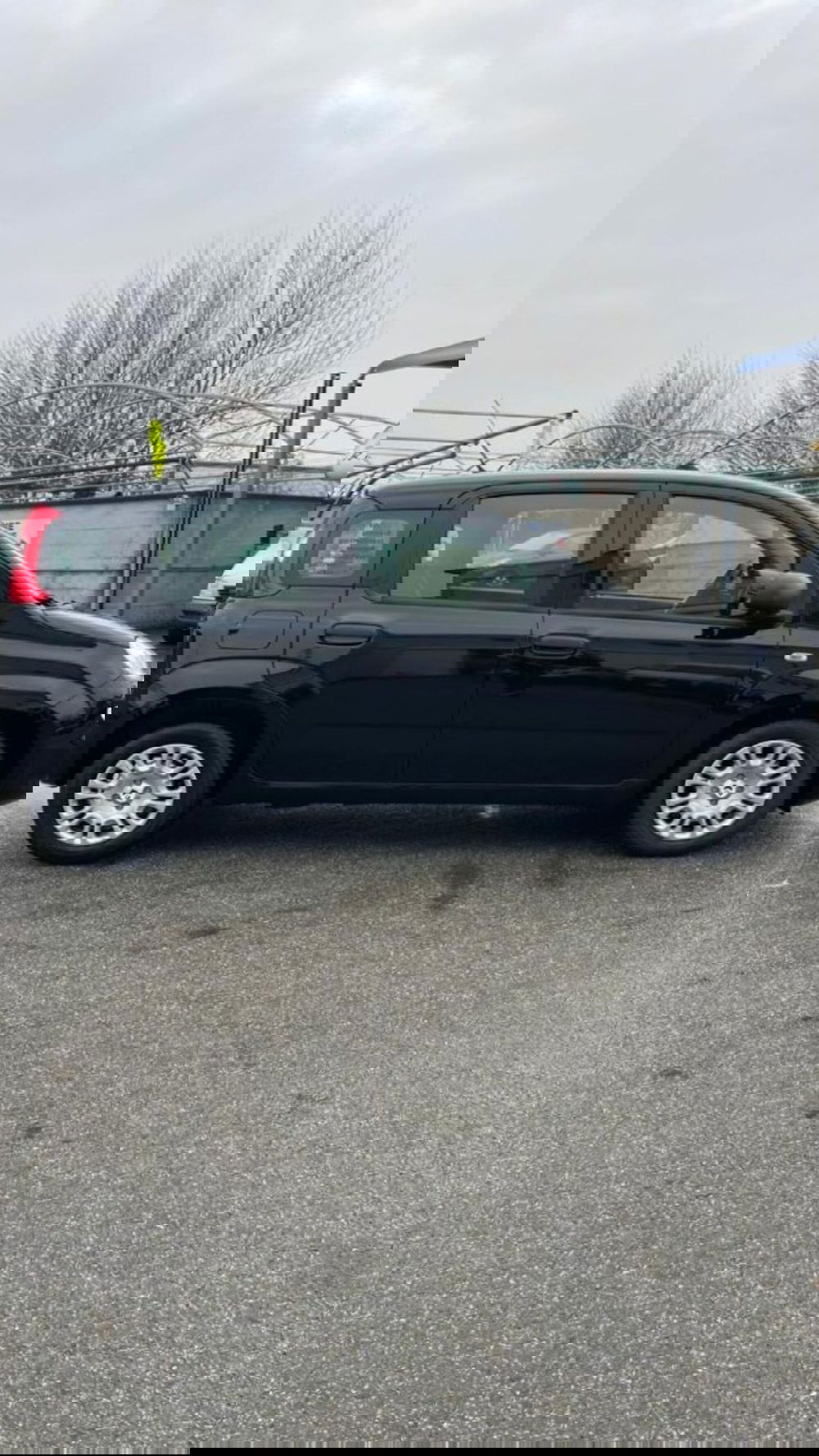 Fiat Panda nuova a Novara (5)