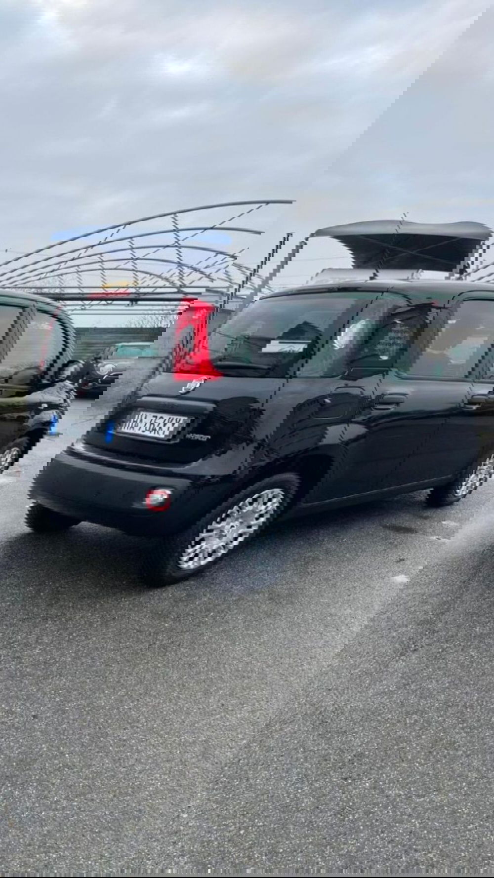 Fiat Panda nuova a Novara (6)