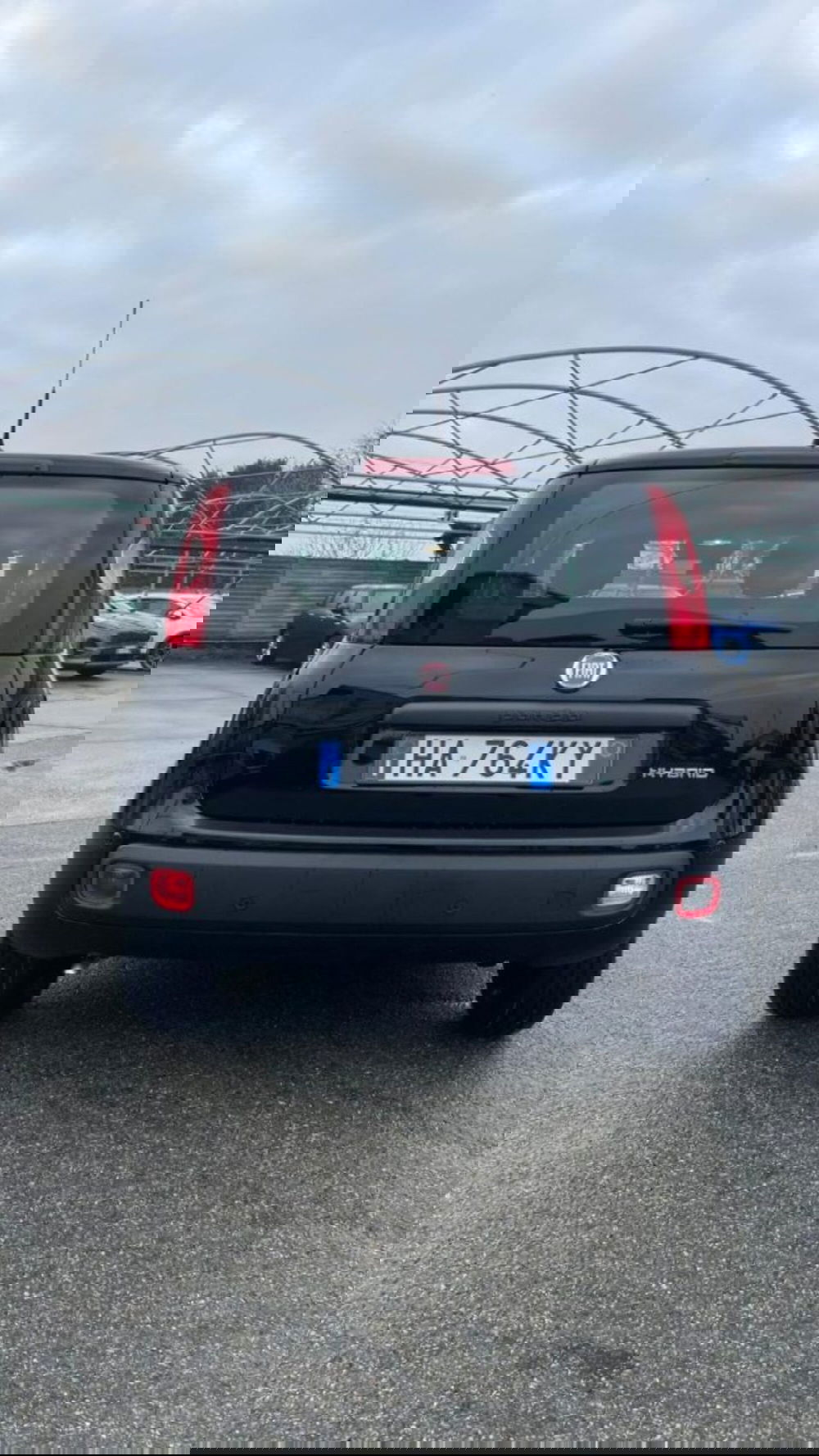 Fiat Panda nuova a Novara (7)