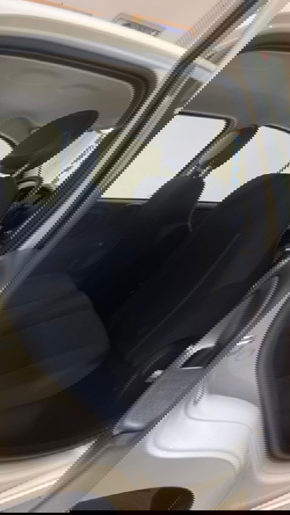 Fiat Panda nuova a Novara (11)