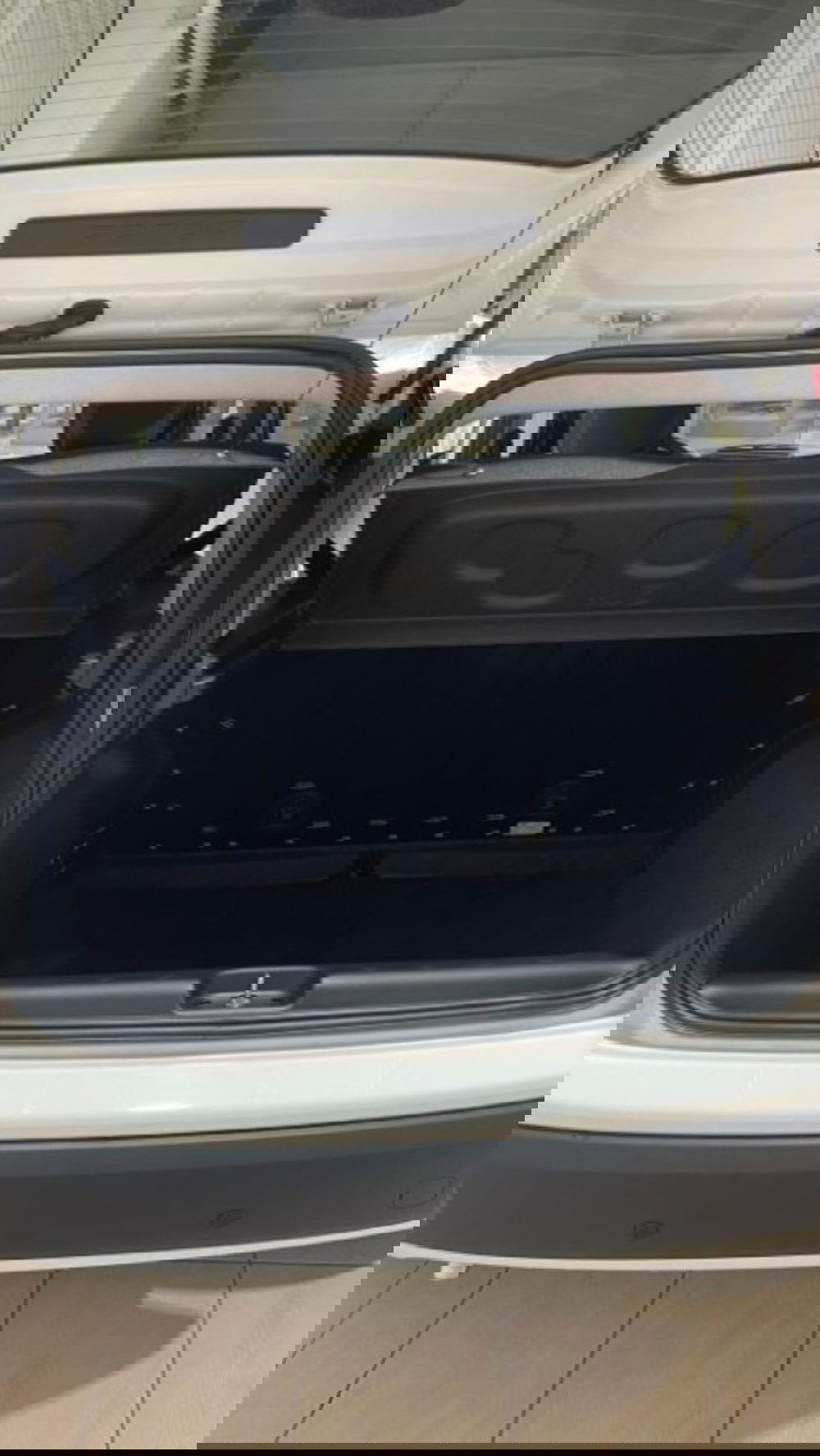 Fiat Panda nuova a Novara (13)